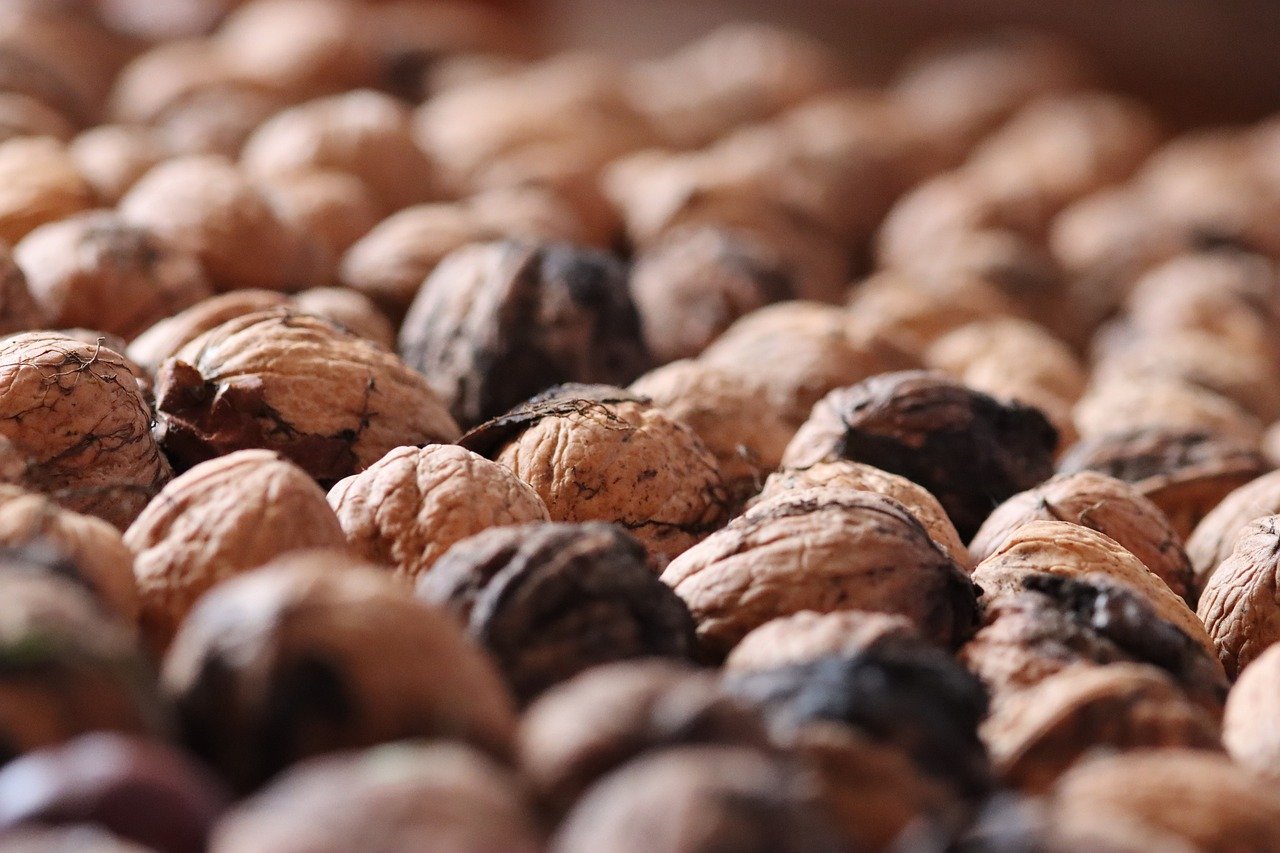 金烽3娱乐,注册|试玩团app详情下载教程