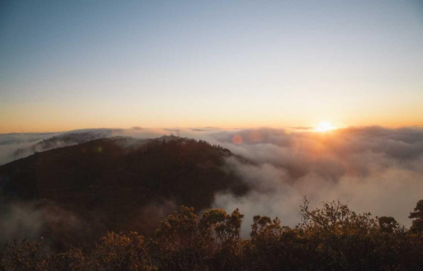 SEO技术的不同分类