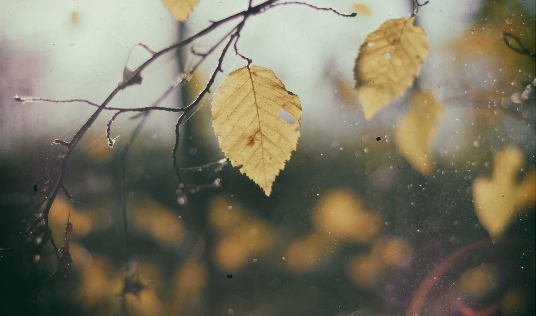 微信号批发市场：流量卡和网络安全防护的防范