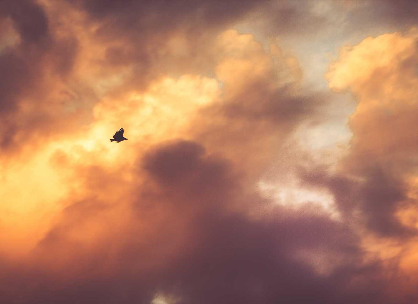 妖精的尾巴：魔导少年辅助- 黑户贷款平台代理