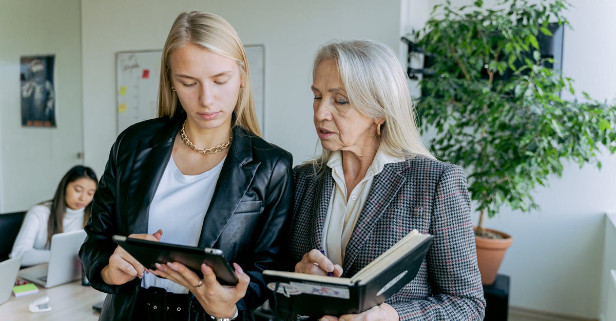 Mond梦都蓝莓：青岛代理注册外贸公司注册