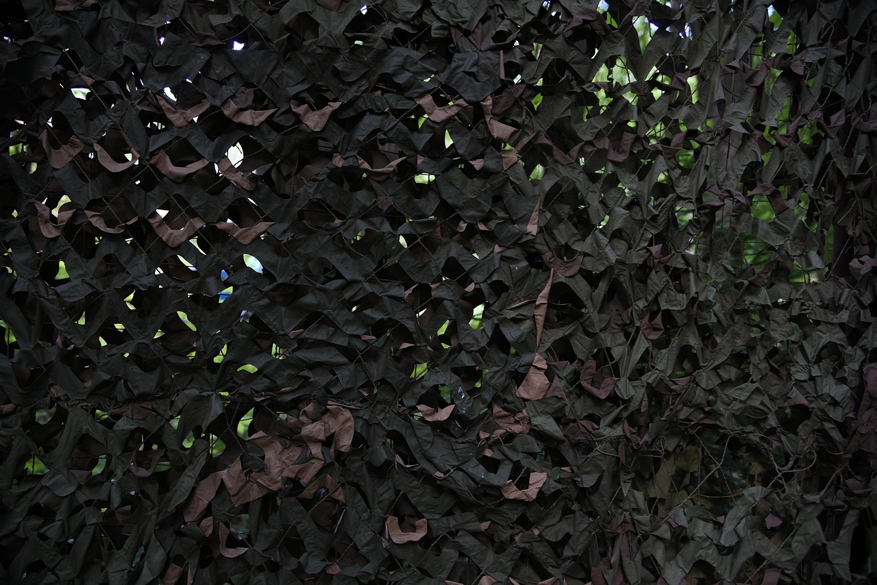 不朽之旅：诛仙三寻宝网怎么购买账号